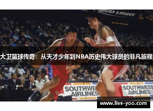 大卫篮球传奇：从天才少年到NBA历史伟大球员的非凡旅程