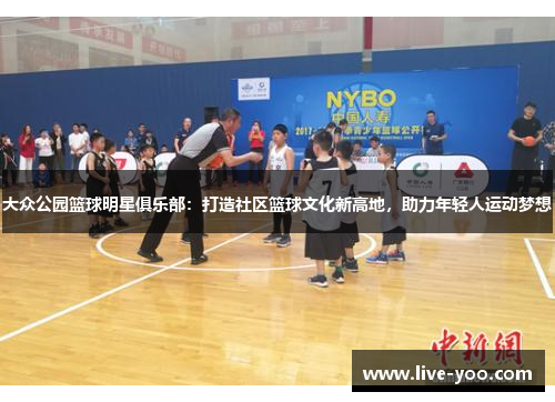大众公园篮球明星俱乐部：打造社区篮球文化新高地，助力年轻人运动梦想