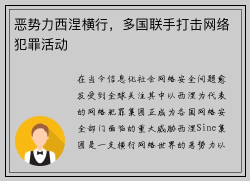 恶势力西涅横行,多国联手打击网络犯罪活动